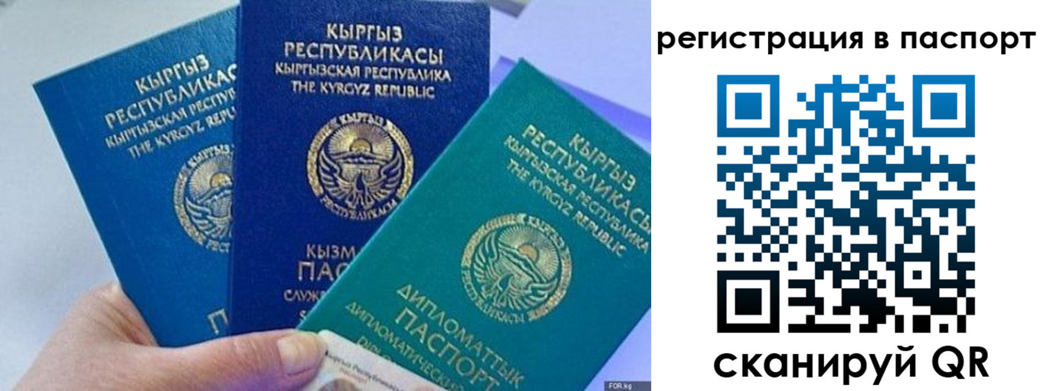 прописка 2025 в Красноярском крае